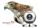 Documentación proyecto Video vigilancia nido Águila perdicera